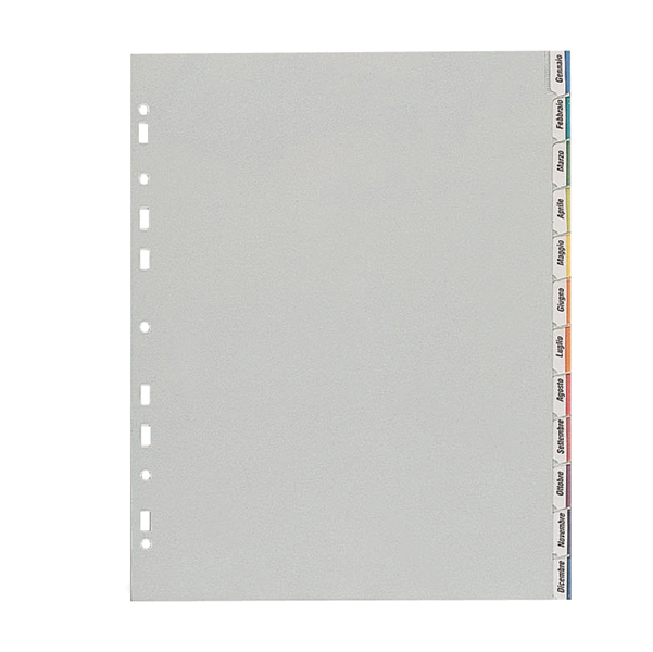  Separatore - 12 tacche personalizzabili - PP - 22x30 cm - grigio - Favorit 