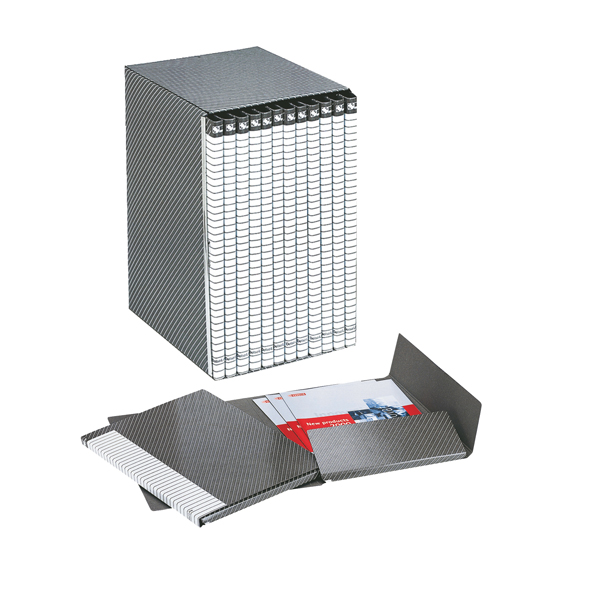  Gruppo Delso Line - 25 x 32 cm - 12 cartelle 2 lembi - con custodia - dorso 1,5 cm - Esselte 