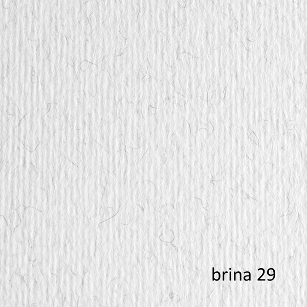  Cartoncino Elle Erre - 50 x 70 cm - 220 gr - brina 29 - Fabriano - blister 20 fogli 