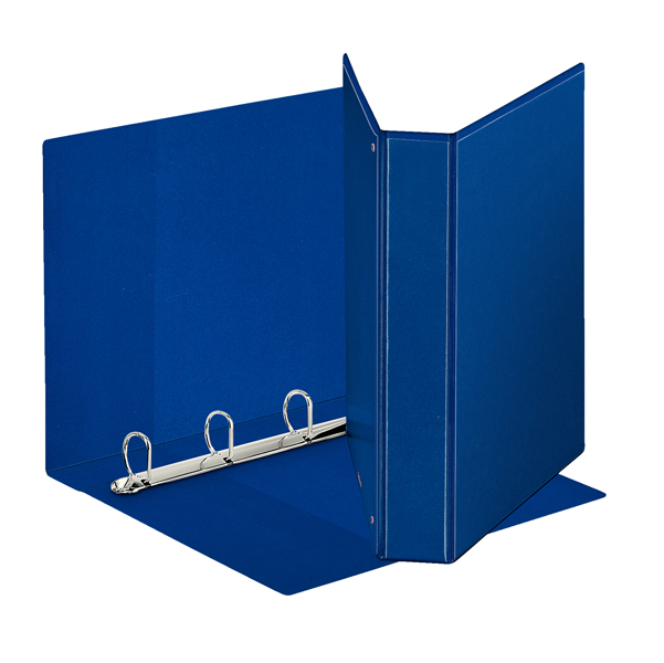  Raccoglitore personalizzabile Display - 22 x 30 cm - 4 anelli a D 40 mm - dorso 5,9 cm - blu - Esselte 