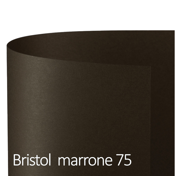  Cartoncino Bristol Color - 50 x 70 cm - 200 gr - marrone 75 - Favini - conf. 25 fogli 