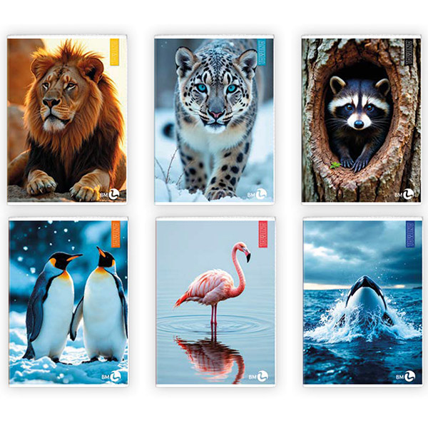 Maxiquaderno A4 40fg+2 80gr 5mm Animal BM 