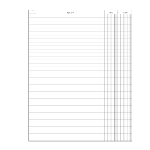  Registro Entrate-Uscite - 100 pagine - 31 x 24,5 cm - DU135800000 - Data Ufficio 
