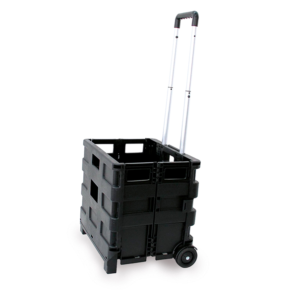  Carrello pieghevole con cassa in plastica portata max 25kg 