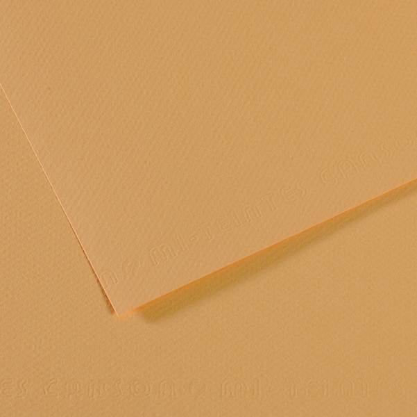  Foglio Mi-Teintes - A4 - 160 gr - canapa chiara - Canson 