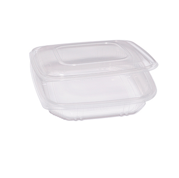  Contenitori in PP - con coperchio incernierato - 21,5 x 21,5 x 3,4 cm - Europack - pack 50 pezzi 