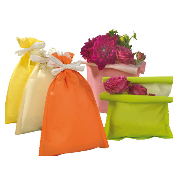  Busta regalo Spring - 20 x 32 cm - 45 gr - carta - 5 colori assortiti - PNP - conf. 50 pezzi 