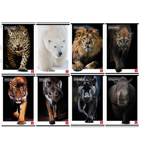  Maxiquaderno Animal - A4 - 1 rigo c/margine - 42 fogli - 80 gr - Pigna 