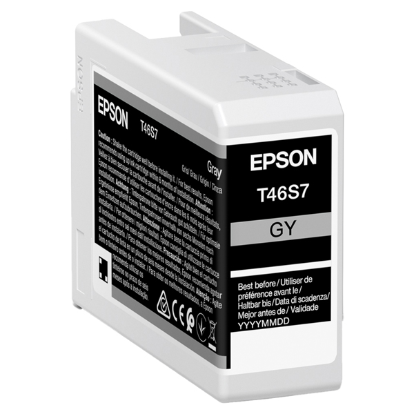  Epson - Cartuccia UltraChrome Pro 10 - Grigio - C13T46S700 - 25 ml 