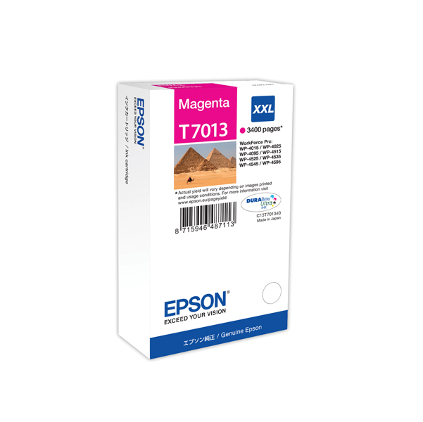  Epson - Tanica - Magenta - T7013 - C13T70134010 - 34,2ml 