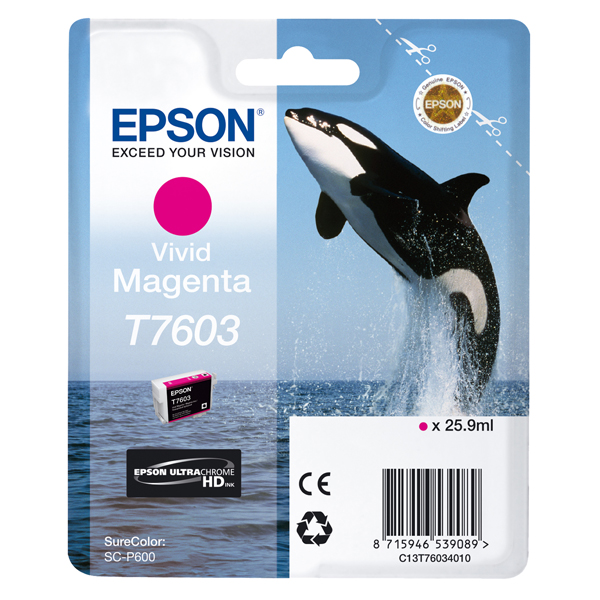  Epson - Cartuccia ink - T7603 - Magenta - C13T76034N10 